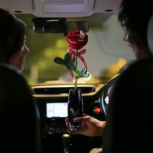 車中でプレゼント 1本の赤いバラ